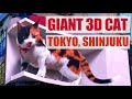 Giant 3D Cat/Roomba Robot Vacuum Collaboration/Shinjuku Station (Tokyo, Japan)/新宿の3D三毛猫/ルンバとコラボレーション