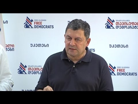 \"თავისუფალი დემოკრატების\" ბრიფინგი