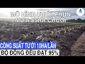 Hoàn thành hệ thống tưới quy mô 85ha chuối với công suất tưới lên đến 10ha/lần