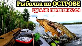 Нашел секретный остров, кишащий рыбой! Рыбалка в диких условиях