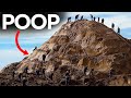 They Found Poop And Then Got Insanely Rich!