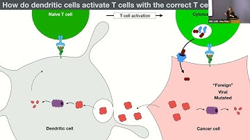 How does the Immune System Identify Cancer Cells? - Patrycja Kozik - Seminar for Non-Scientists