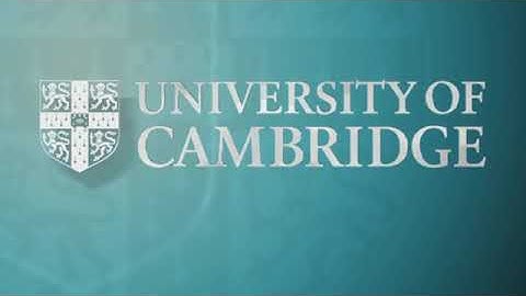 DNMW04 | Dr. Samuel Amstutz | Gradient-free perimeter approximation for topology optimization