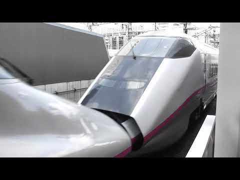 Ｅ２系はやて+Ｅ３系こまち　東京到着