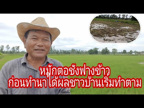 ผลสลากกินแบ่งรัฐบาล วันที่ 1 พย. 2567