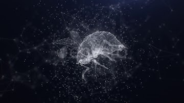 Plexus Fly | Motion Graphics - Envato elements