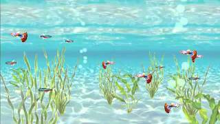 XNA -  Fish Tank
