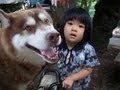 アリスのお迎え保育園 husky Alice went to welcoming nursery school