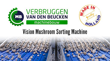 Vision Mushroom Sorting Machine
