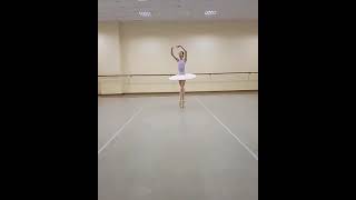 Ballet flexibility