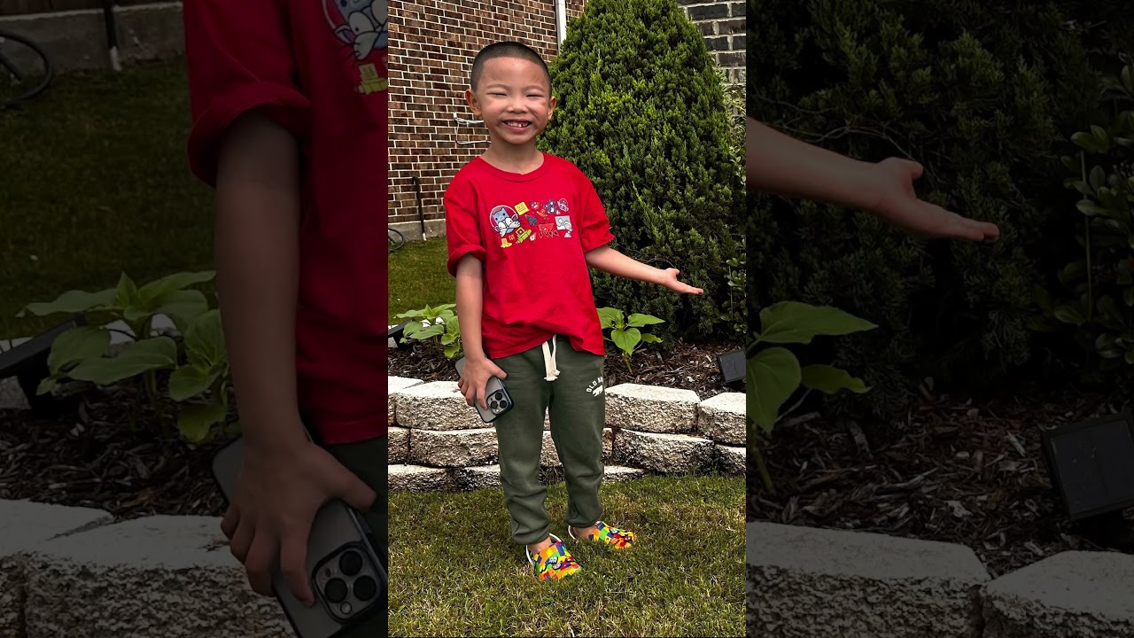 I grew these sunflower🌻 saplings from seedlings 🌱 with the help of my grandparents!💙 