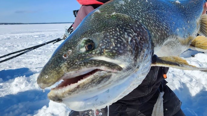 Five Deadliest Winter Lake Trout Lures 