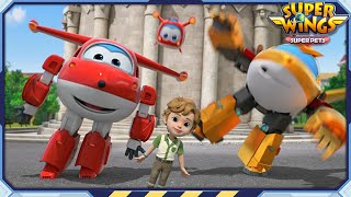 [SUPERWINGS5 HL] Special Trip Around the World and more | Superwings | Highlight S5 EP31~33