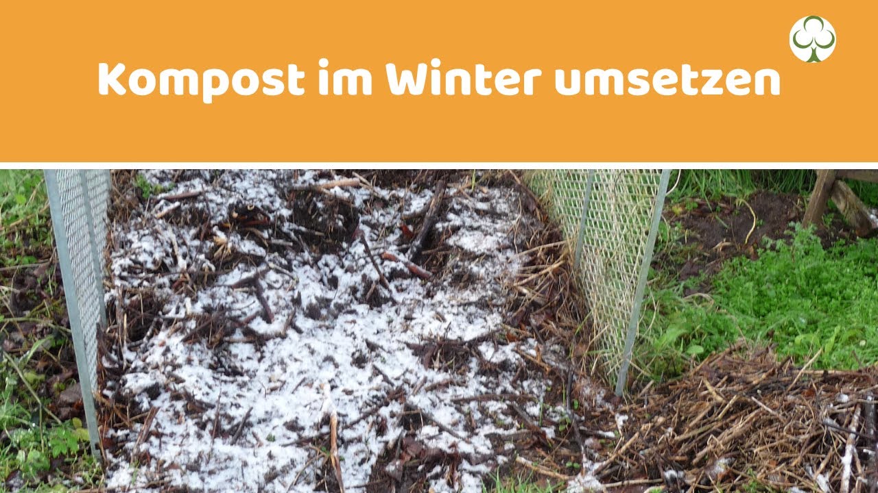 Den Kompost im Winter umsetzen Kompost neu aufsetzen YouTube