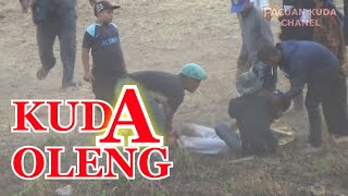 Horor Pacuan Kuda Extrem