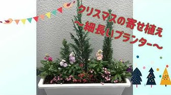 ハッピーベリー Youtube