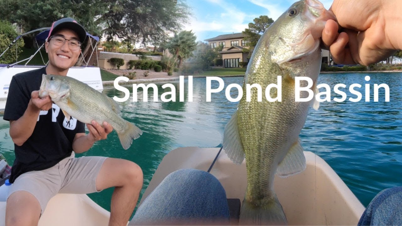 Secret Baits for Small Pond Bass Fishing Lake Sahara YouTube