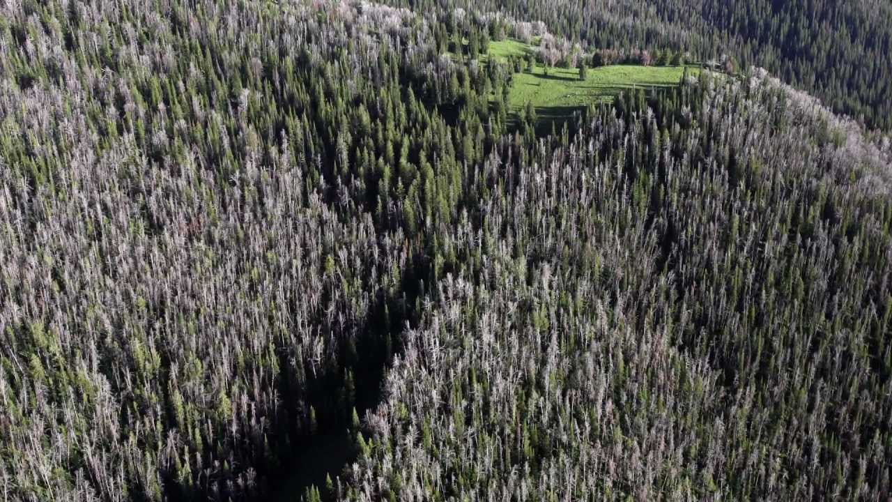 2012 Grantham Prize Winner, Brandon Loomis