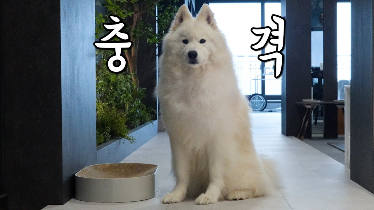 Мы узнали шокирующий секрет Кванбока