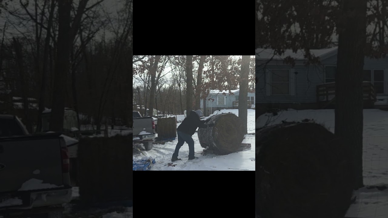 Перемещение круглых тюков сена вручную | Без трактора 