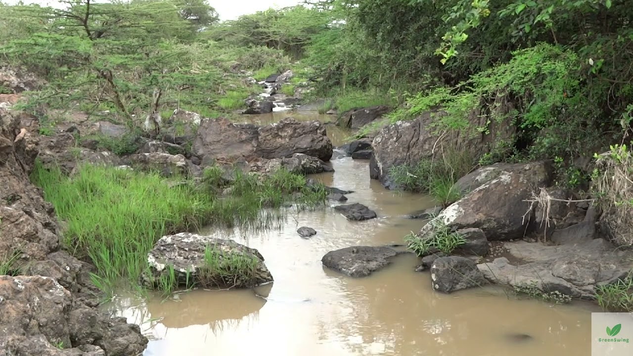 Seasonal River Relaxation