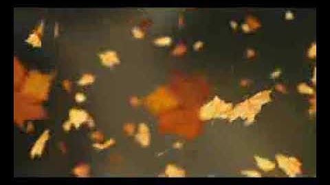Falling Autumn Leaves Background loop 2 Read Desc