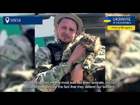 The stories of all these animals are unique. The story told by an animal rights activist from Odesa