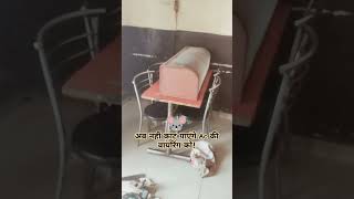 अपनी Ac को 🐭 से कैसे बचाएं || Ak tech Ashok || #airconditioner #acrepair #coolingsolutions