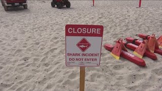 Del Mar closes beaches for swimming and surfing after shark attack
