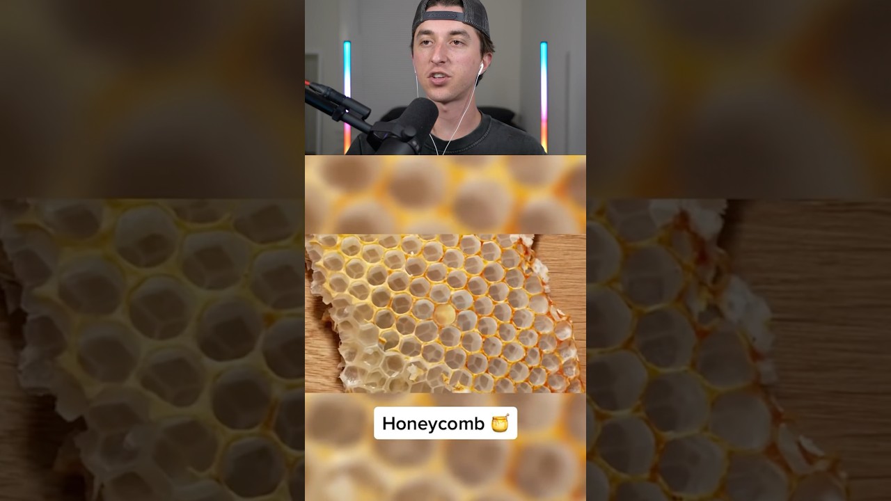 zoomed in things 🤯😱