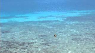 Le isole Fiji.wmv