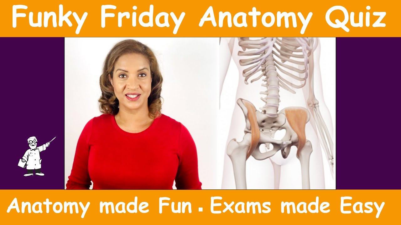 Funky Friday Anatomy Quiz 05 06 2020 Youtube