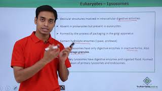 Famous Class 11th - Eukaryotes – Lysosomes | Cell: The unit of Life | Tutorials Point Profile