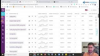 How to use MerchantWords