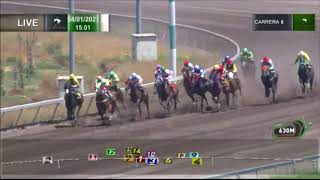 Vidéo de la course PMU PREMIO VIGANTON H.