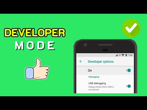 How To Enable/Disable DEVELOPER OPTIONS On Any Android (2025)