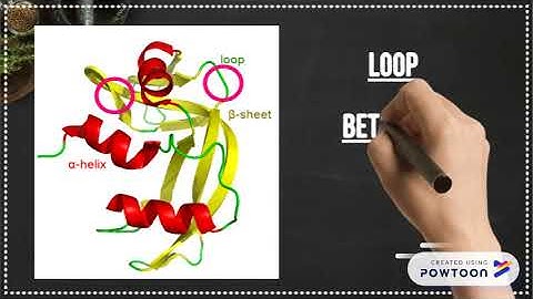 protein loop structure
