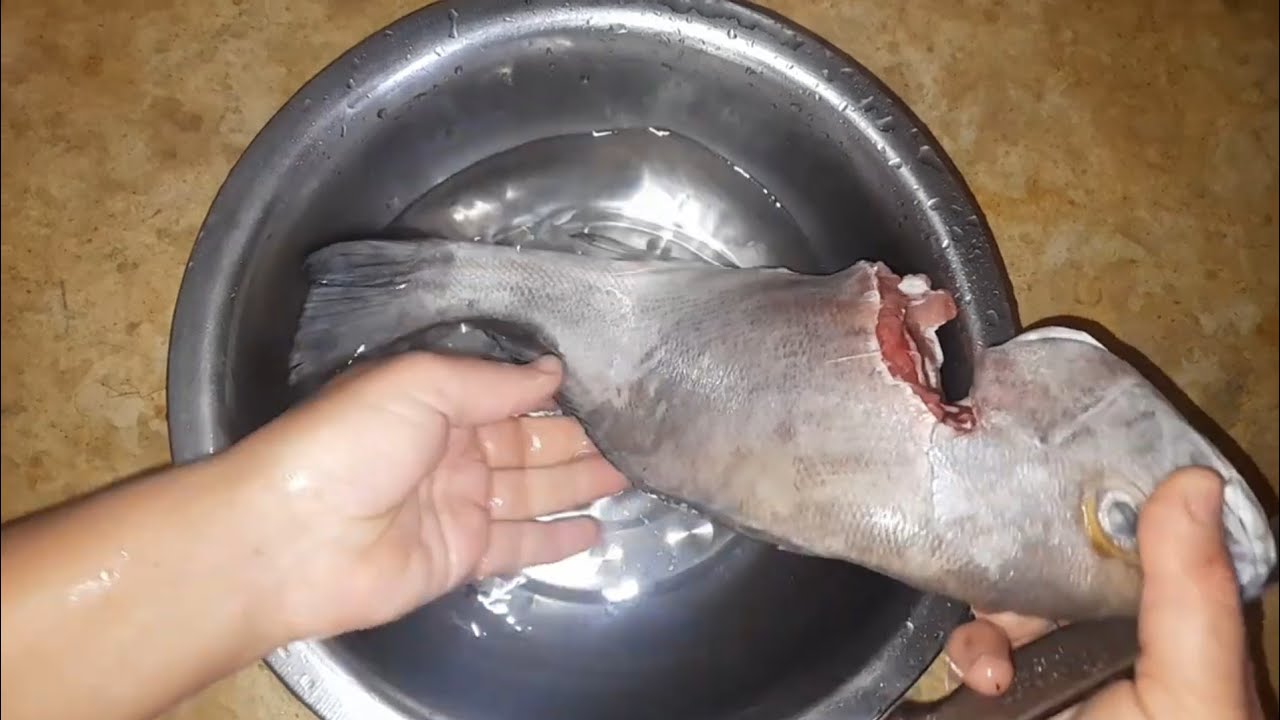 طاجين الحوت بشرمولة اقتصادية كيجي بنين بزاف ❤️