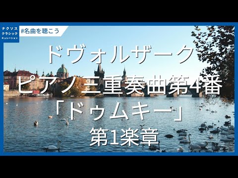 ドヴォルザーク: ピアノ三重奏曲第4番｢ドゥムキー｣ - 第1楽章 #誕生日