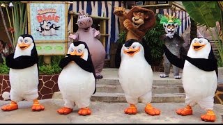 Hd 2015 Madagascar I Like To Move It Boogie Dance Universal Studios Singapore, Uss.