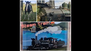 Riding A Steam Train Touching Beautiful Horses Fun Day Out Laibas Vlog In The Uk