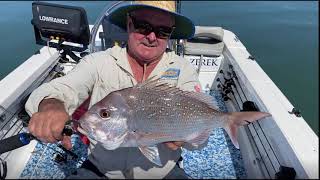 Snapper And Flathead From Southern Moreton Bay