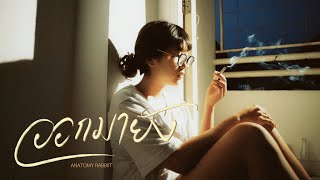 ANATOMY RABBIT ออกมายัง? | Are you out yet? [ UNOFFICIAL MV ]