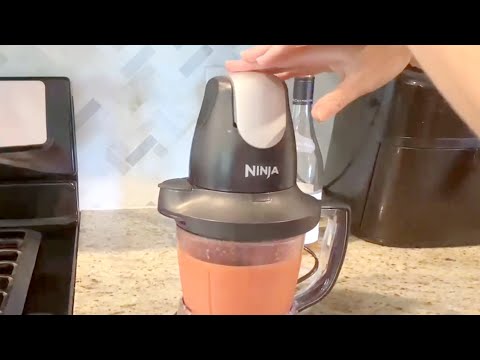 Ninja QB1004 Blender Food Processor REVIEW