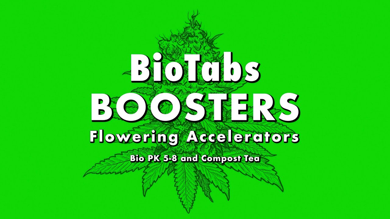 BioTabs Bio-Booster PK 5-8 Organischer Flssigdnger 500ml, 1L - growl
