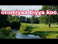 Oromiya Biyyaa Koo Yaade Yomuman Gala Lataa Oromiya Biyyaa Koo Yaade Yomuman Gala Lataa