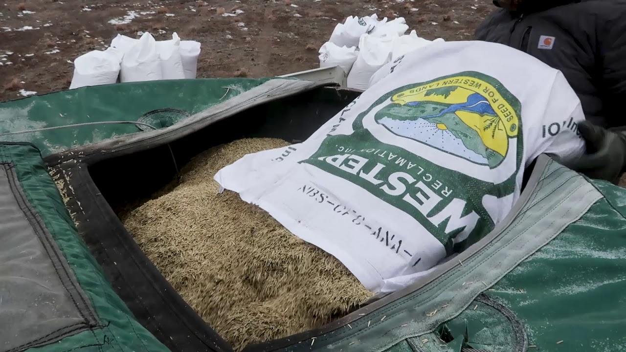 Timberland Aerial Seeding