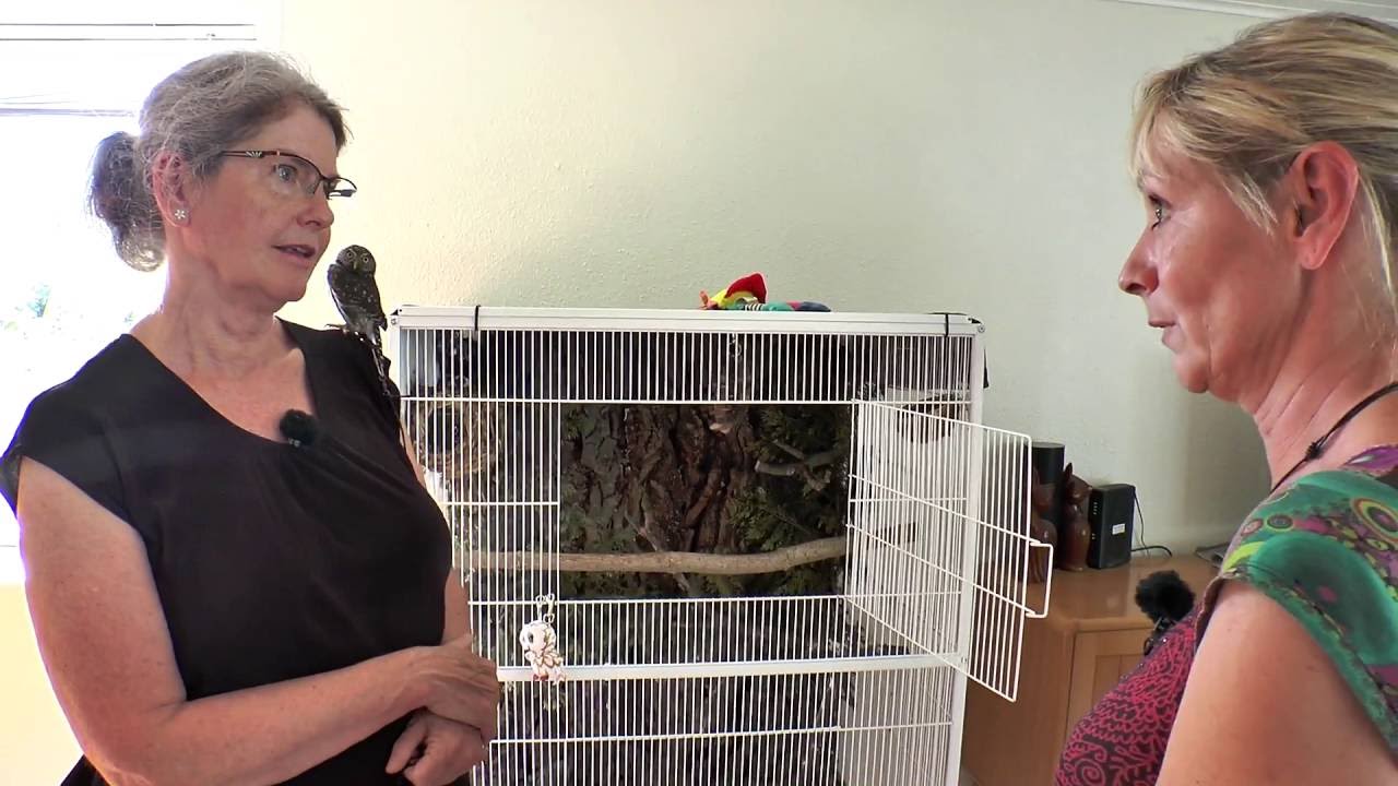 Ugleriget ligger i Næsby - 1. del