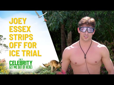 Video: Joey Essex Neto vrijednost: Wiki, oženjen, porodica, vjenčanje, plata, braća i sestre