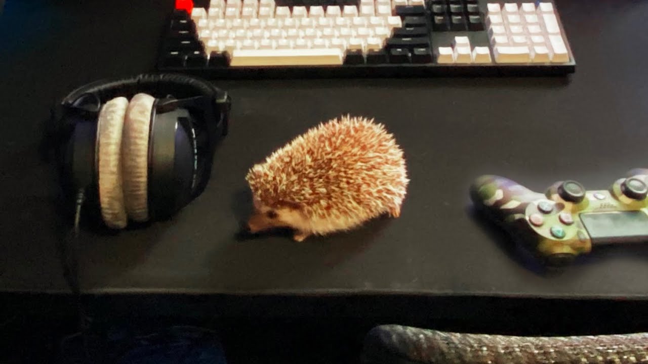 My Viewers Have Weird Setups